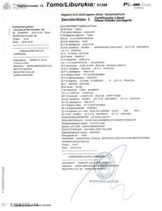 Partida de nacimiento. Copia literal del Registro Civil. Traducción Jurada de Euskera a Castellano.